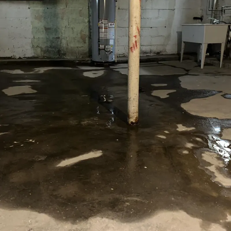 Emergency Water Extraction And Removal in Punaluu, HI